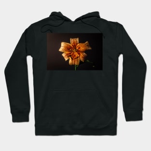 Orange tiger lily still life Hoodie